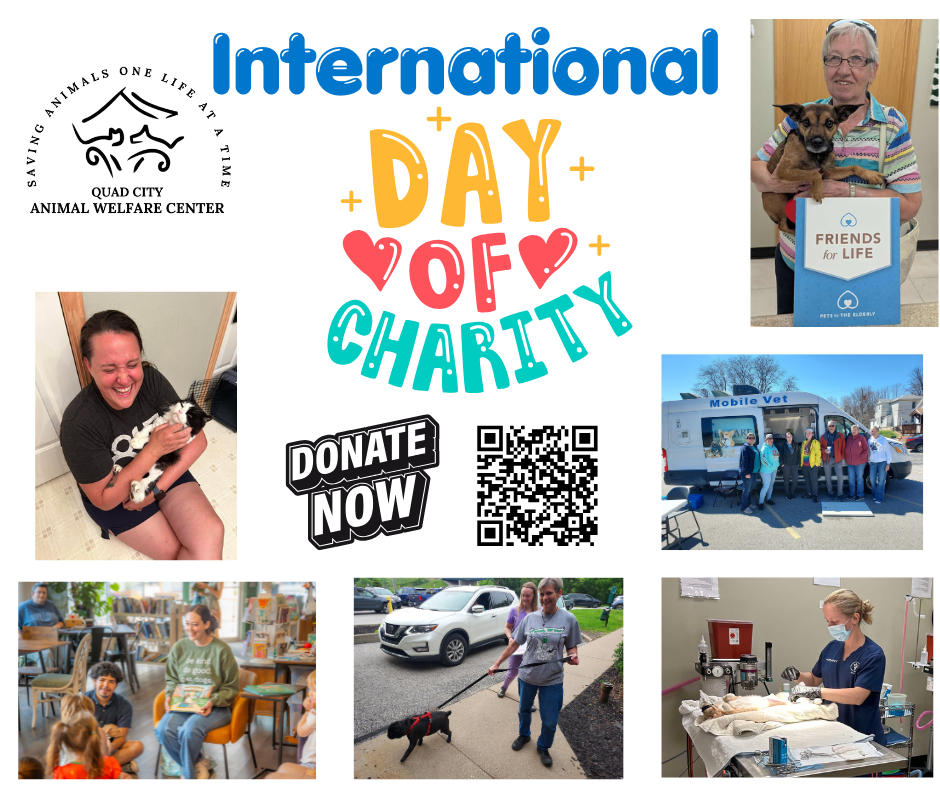 Donation graphic 2
